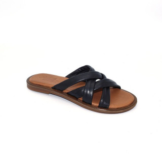 Pitt Aster black