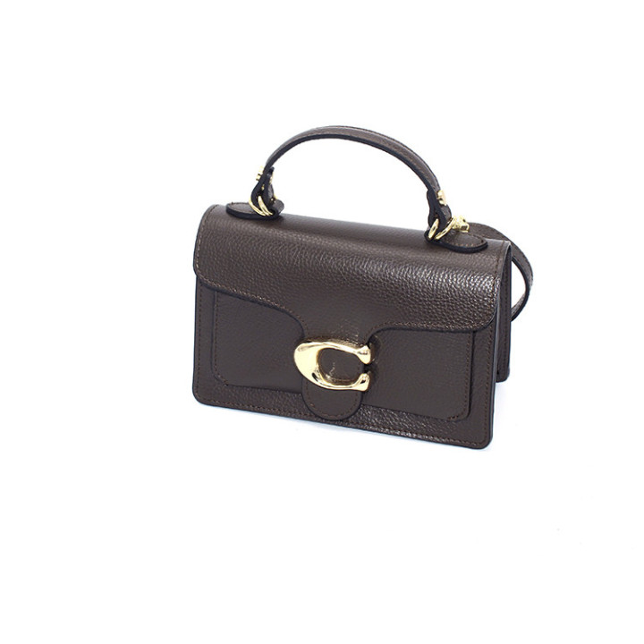 Tas dk bruin met gesp en lang hengsel